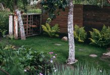 Wat zijn de trends voor de tuin op dit moment? tuin