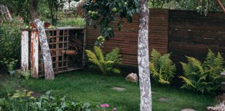 Wat zijn de trends voor de tuin op dit moment? tuin