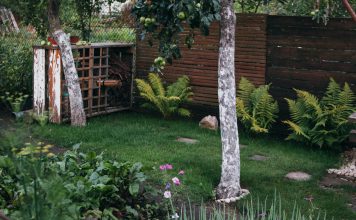 Wat zijn de trends voor de tuin op dit moment? tuin