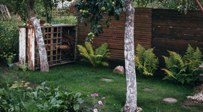 Wat zijn de trends voor de tuin op dit moment? tuin