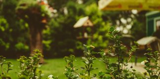 De woontrends voor deze zomer woontrends