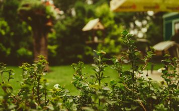 De woontrends voor deze zomer woontrends