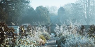 Met deze tips is jouw tuin winterproof! tuin