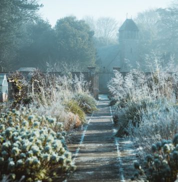 Met deze tips is jouw tuin winterproof! tuin