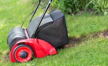 Welke toestellen heb je nodig voor het onderhoud van je tuin? verticuteerder