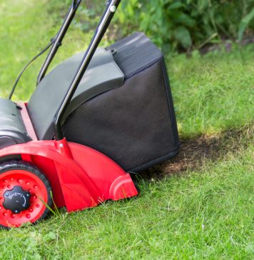 Welke toestellen heb je nodig voor het onderhoud van je tuin? verticuteerder