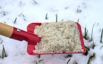 Praktische gadgets voor in huis & tuin schep met strooizout