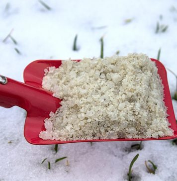 Praktische gadgets voor in huis & tuin schep met strooizout