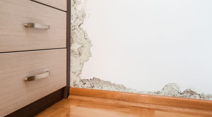 Een vochtig huis? Hiermee moet je rekening houden vochtig huis