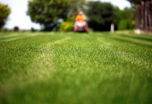 Zo onderhoud je je gazon het hele jaar door gazon onderhoud