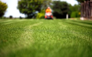 Zo onderhoud je je gazon het hele jaar door gazon onderhoud